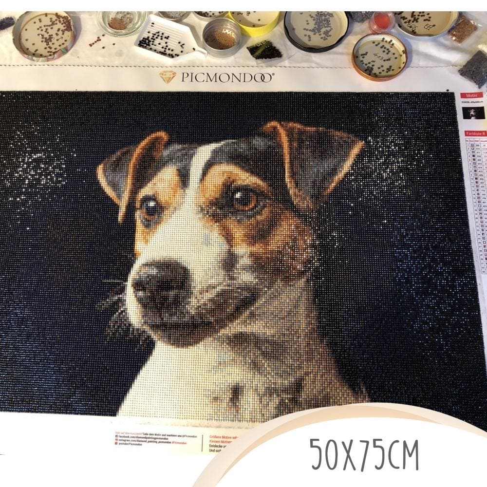 Diamond Painting - Eigenes Bild - Image 11
